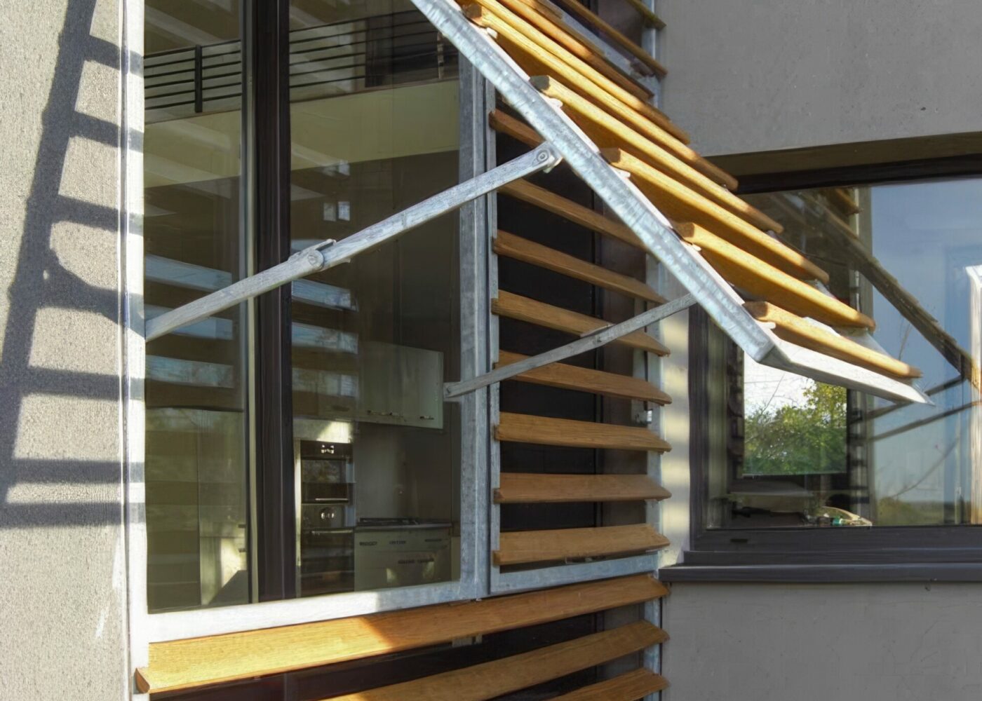 11022007 CIMG2043 topaz upscale 4x